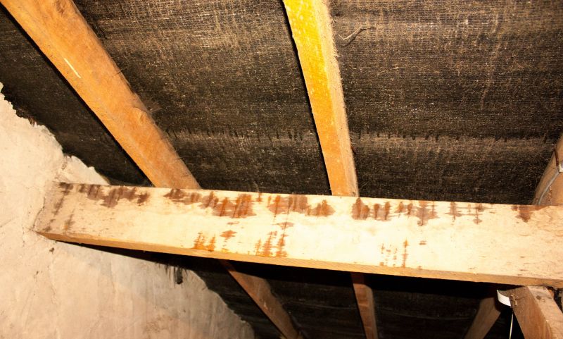 Bathroom Water Damage Repair in Summerville, SC