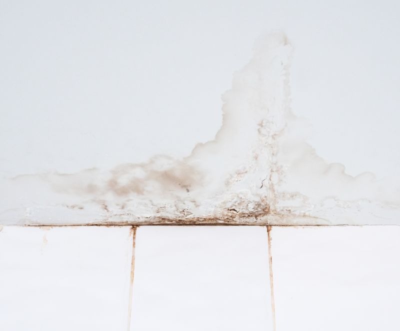 Leaking Ceiling Repair in Katy, TX
