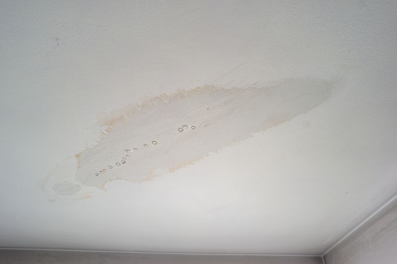 Ceiling Damage Assessment