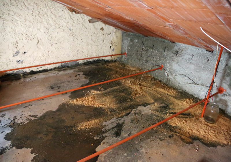 Water Damage Ceiling Repair in Santa Rosa, CA